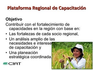 Hacia una Plataforma para Fortalecer Capacidades de Investigación y Desarrollo Agrícola en América Latina y el Caribe