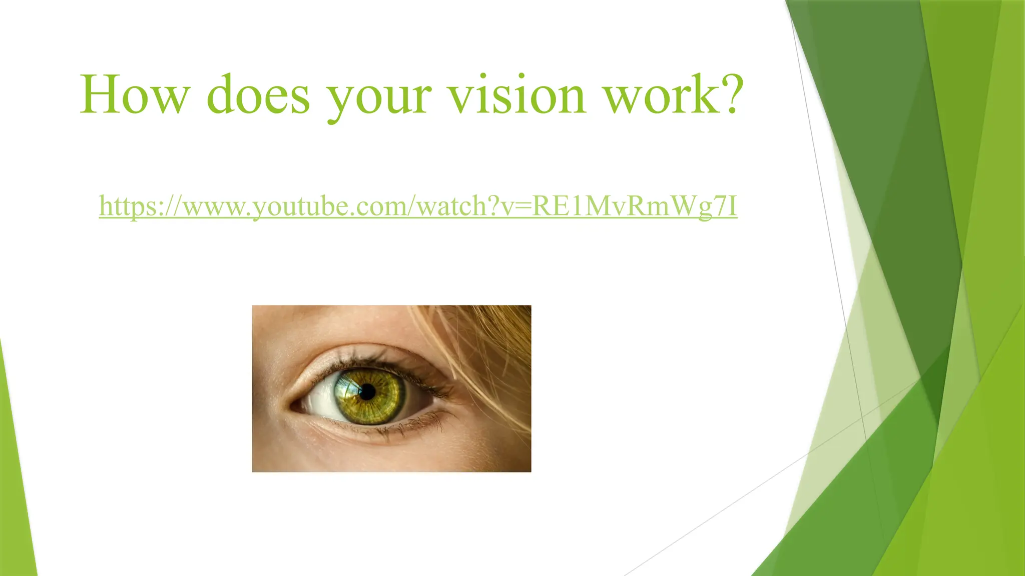 How does your vision work?
https://www.youtube.com/watch?v=RE1MvRmWg7I
 