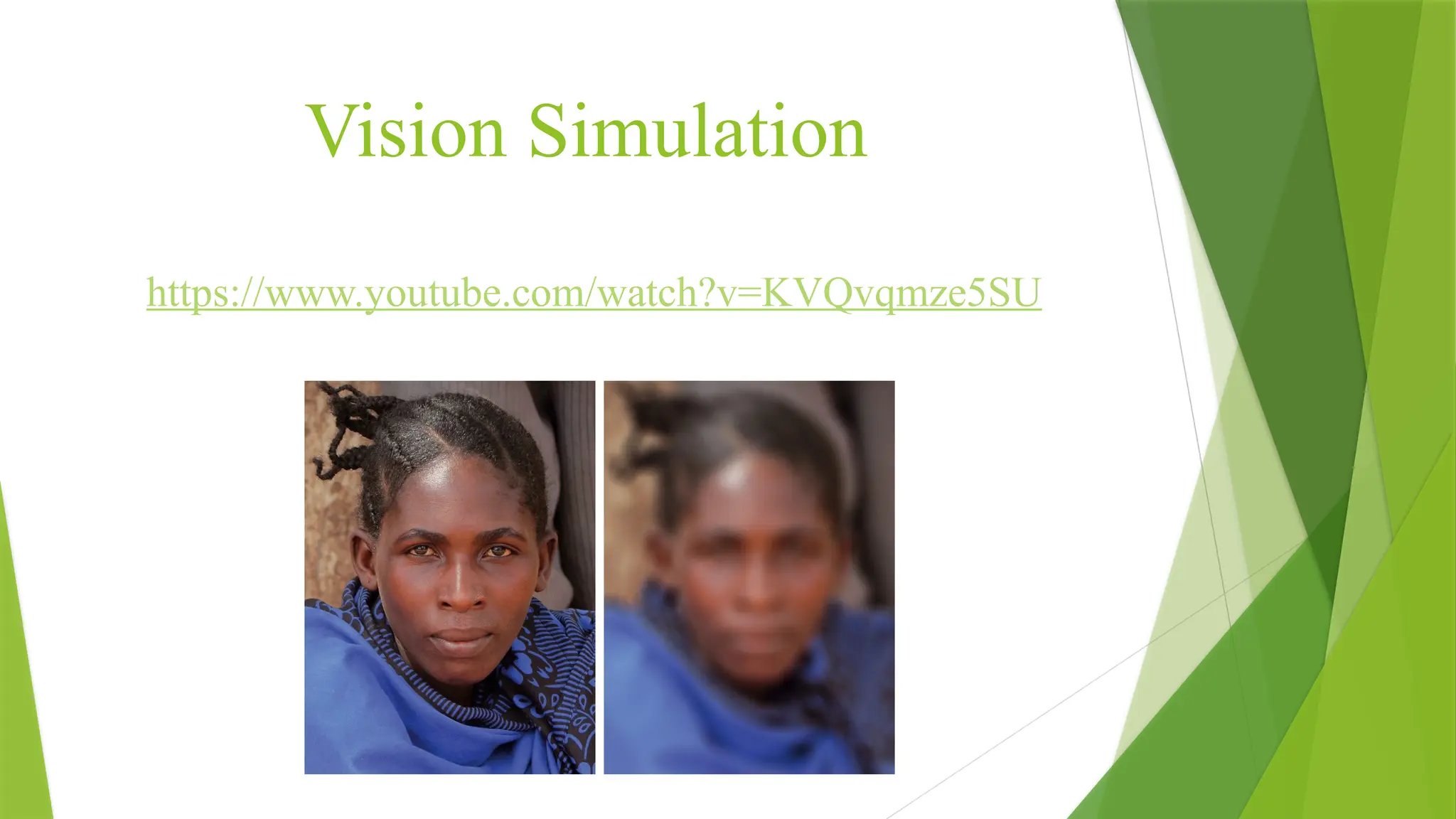 Vision Simulation
https://www.youtube.com/watch?v=KVQvqmze5SU
 