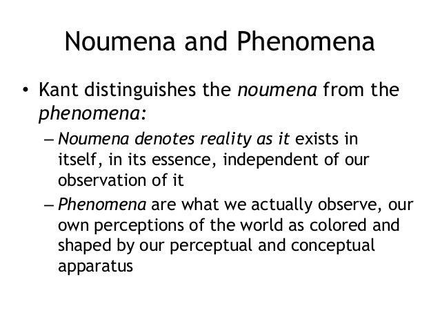 phenomena vs phenomenon