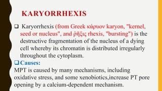 Wallerian degenratin