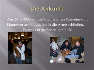 <ul><li>Am 20.02.2009 konnte Sheline ihren Patenhund in </li></ul><ul><li>Hannover am Flughafen in die Arme schließen. </l...