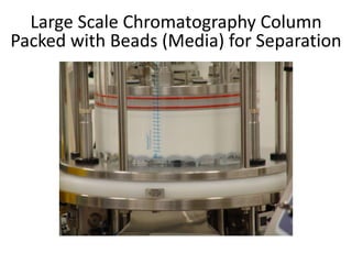 Large Scale Chromatography Column
Packed with Beads (Media) for Separation
 