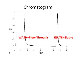 Chromatogram
WASH=Flow Through ELUTE=Eluate
 