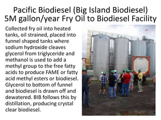 Pacific Biodiesel (Big Island Biodiesel)
5M gallon/year Fry Oil to Biodiesel Facility
Collected fry oil into heated
tanks, oil strained, placed into
funnel shaped tanks where
sodium hydroxide cleaves
glycerol from triglyceride and
methanol is used to add a
methyl group to the free fatty
acids to produce FAME or fatty
acid methyl esters or biodiesel.
Glycerol to bottom of funnel
and biodiesel is drawn off and
dewatered. BIB follows this by
distillation, producing crystal
clear biodiesel.
 