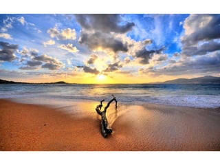 Wallpapers beautiful sunset