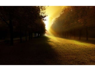 Wallpapers beautiful sunset