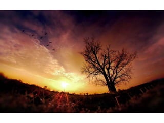 Wallpapers beautiful sunset