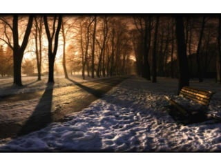 Wallpapers beautiful sunset