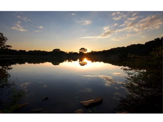 Wallpapers beautiful sunset