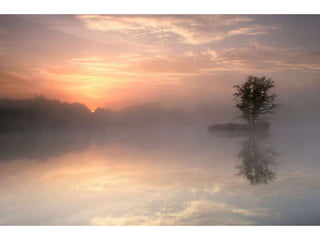 Wallpapers beautiful sunset