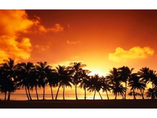 Wallpapers beautiful sunset