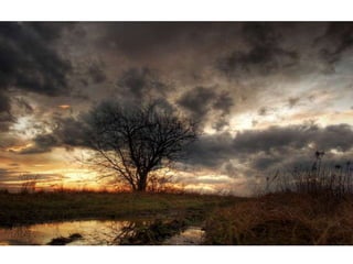 Wallpapers beautiful sunset