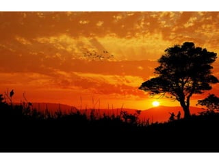 Wallpapers beautiful sunset