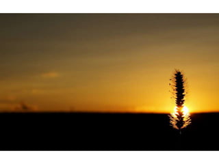 Wallpapers beautiful sunset