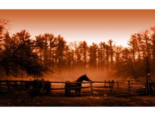 Wallpapers beautiful sunset