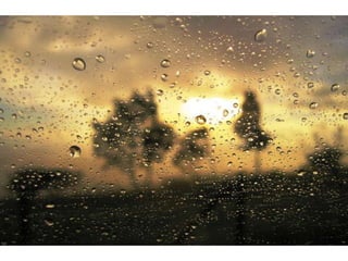 Wallpapers beautiful sunset