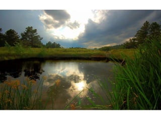 Wallpapers beautiful sunset