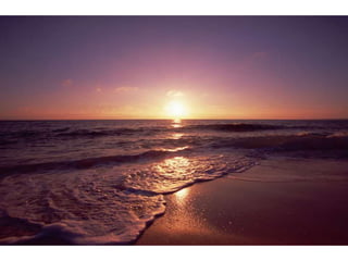 Wallpapers sunset views