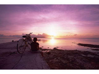 Wallpapers sunset views