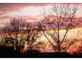 Wallpapers sunset views