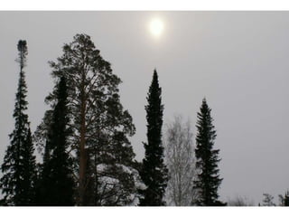 Wallpapers sunset views