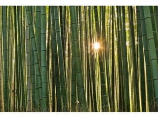 Wallpapers sunset views