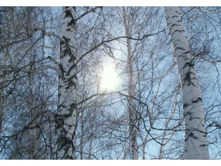 Wallpapers sunset views