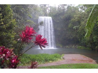 Wallpapers sunset views