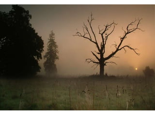 Wallpapers sunset views