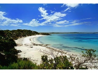 Wallpapers sunset views