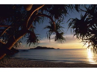 Wallpapers sunset views