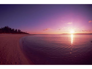 Wallpapers sunset views