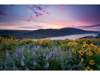 Wallpapers sunset views