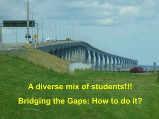A diverse mix of students!!!
Bridging the Gaps: How to do it?
 
