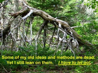 Some of my old ideas and methods are dead.
  Yet I still lean on them. I have to let go!
 