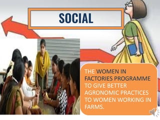 SOCIAL
THE WOMEN IN
FACTORIES PROGRAMME
TO GIVE BETTER
AGRONOMIC PRACTICES
TO WOMEN WORKING IN
FARMS.
 