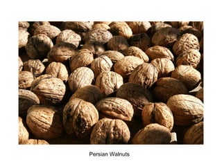 Persian Walnuts 