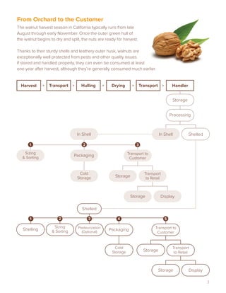 Walnut Health Benefits Preserved Through Proper Handling & Storage ...