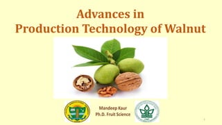 Advances in
Production Technology of Walnut
1
 