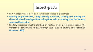 Insect-pests
• Pest management is a problem in walnut because of giant trees.
• Planting of grafted trees, using dwarfing rootstock, training and pruning and
choice of lateral bearing cultivars altogether help in reducing tree size for easy
spray and harvesting.
• Sanitary measures involve planting of healthy trees, precautions against the
transfer of disease and insects through tools used in pruning and cultivation
(Johnson 1960).
108
 