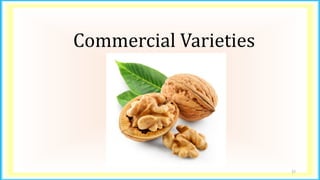 Commercial Varieties
37
 