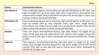 42
Variety Characteristic features
CITH Walnut-9 Trees moderately vigorous, terminal bearing, high yield (50 kg/tree at 20th year), very
high nut weight (21.2 g), round shape, light colour, rough texture, intermediate seal;
medium kernel weight (10.8 g) with kernel recovery 51%; kernels light in colour, easy
removal in halves, plump and well filled.
CITH Walnut-10 Trees moderately vigorous, terminal bearing, high yield (30 kg/tree at 20th year), very
high nut weight (20.0 g), long trapezoid shape, light colour, rough texture,
intermediate seal; medium kernel weight (11.2 g) with kernel recovery 56%; kernels
light in colour, easy removal in halves, plump and well filled.
Hamdan Trees semi dwarf, terminal/lateral bearing, high yield, medium nut weight (14 g),
large, strong, good seal and rough texture nuts; medium kernel weight (7.6 g) with
kernel recovery 54%; light in colour. Developed and released by SKUAST (K), Srinagar
in 2001.
Sulaiman Trees vigorous, terminal/lateral bearing, high yield, good nut weight (21 g), round
shape, good strength, attractive appearance; high kernel weight (10.9 g) with kernel
recovery 52%; light to extra light with easy to remove kernel halves. Developed by
SKUAST (K), Srinagar, India.
 
