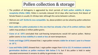 Pollen collection & storage
• The problem of dichogamy is aggravated by short periods of both pollen viability & stigma
receptivity (Polito 1985). Pollen is normally released 10-12 days after bud burst; first bloom of
female flowers is usually 15-18 days later although this varies between cultivars.
• Walnuts are self -fertile & cross compatible. So, above problem can be solved by pollen collection
and storage.
• Best catkin for pollen production is the one that has already a few of its anthers dehisce. Each
catkin may produce 2 million pollen grains.
• Crane et al. 1973 concluded that sub-freezing temperatures would kill walnut pollen. Walnut
pollen seems to lose viability in a week or less at room temperature.
• Forde and Griggs (1975) showed that J. regia pollen remains viable for at least 1 year in a freezer
at -19 ͦC.
• Luza and Polito (1987) showed that J. regia pollen ranges from 4.6 to 12.1 % moisture content &
germination declines as pollen moisture falls below 5 %, but if dry pollen is held in water
saturated environment it remains its ability to germinate in vitro.
84
 