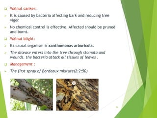 Walnut canker:
 It is caused by bacteria affecting bark and reducing tree
vigor.
 No chemical control is effective. Affected should be pruned
and burnt.
 Walnut blight:
 Its causal organism is xanthomonas arboricola.
 The disease enters into the tree through stomata and
wounds. the bacteria attack all tissues of leaves .
 Management :
 The first spray of Bordeaux mixture(2:2:50)
34
 