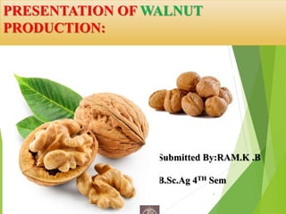 PRESENTATION OF WALNUT
PRODUCTION:
1
Submitted By:RAM.K .B
B.Sc.Ag 4TH Sem
 