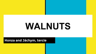 WALNUTS
Honza and Jáchym, tercie
 
