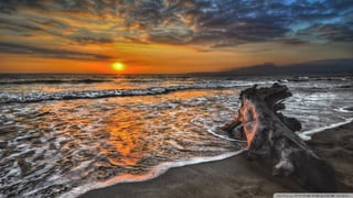 Walpapers hd 5(beachs 3) jr cordeiro