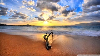 Walpapers hd 5(beachs 3) jr cordeiro