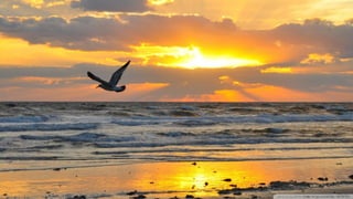 Walpapers hd 5(beachs 3) jr cordeiro